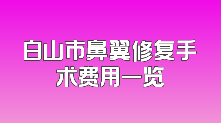 白山市鼻翼修复手术费用一览