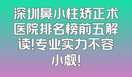 深圳鼻小柱矫正术医院排名榜前五解读！专业实力不容小觑！