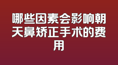 哪些因素会影响朝天鼻矫正手术的费用