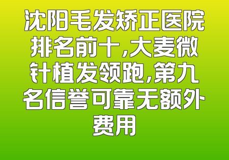 沈阳毛发矫正医院排名前十，大麦微针植发领跑，第九名信誉可靠无额外费用