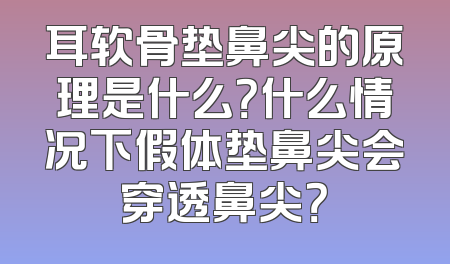 耳软骨垫鼻尖的原理是什么？什么情况下假体垫鼻尖会穿透鼻尖？