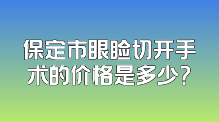 保定市眼睑切开手术的价格是多少？