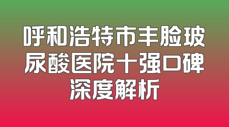 呼和浩特市丰脸玻尿酸医院十强口碑深度解析