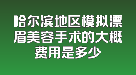 哈尔滨地区模拟漂眉美容手术的大概费用是多少