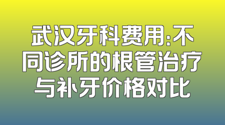 武汉牙科费用：不同诊所的根管治疗与补牙价格对比
