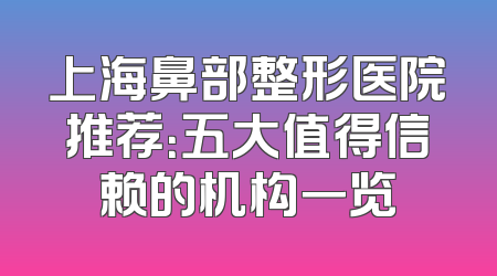上海鼻部整形医院推荐：五大值得信赖的机构一览