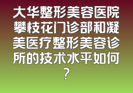 大华整形美容医院攀枝花门诊部和凝美医疗整形美容诊所的技术水平如何？