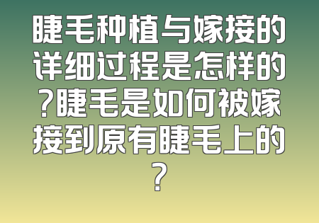 睫毛种植与嫁接的详细过程是怎样的？睫毛是如何被嫁接到原有睫毛上的？