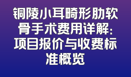 铜陵小耳畸形肋软骨手术费用详解：项目报价与收费标准概览