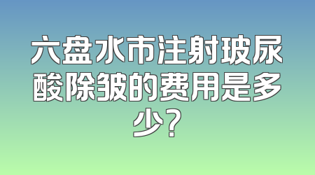 六盘水市注射玻尿酸除皱的费用是多少？