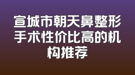 宣城市朝天鼻整形手术性价比高的机构推荐