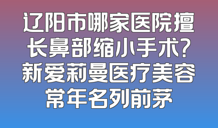 辽阳市哪家医院擅长鼻部缩小手术？新爱莉曼医疗美容常年名列前茅