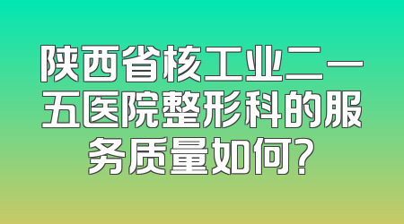 陕西省核工业二一五医院整形科的服务质量如何？