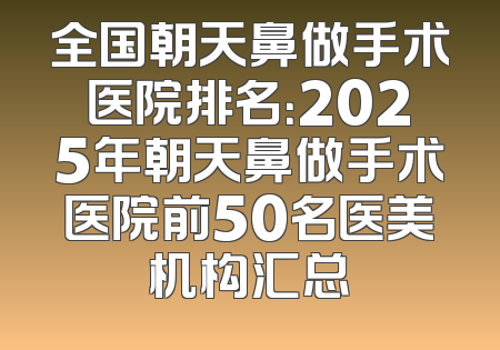 全国朝天鼻做手术医院排名：2025年朝天鼻做手术医院前50名医美机构汇总