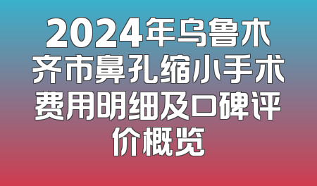 2024年乌鲁木齐市鼻孔缩小手术费用明细及口碑评价概览