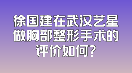 徐国建在武汉艺星做胸部整形手术的评价如何？