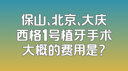 保山、北京、大庆西格1号植牙手术大概的费用是？