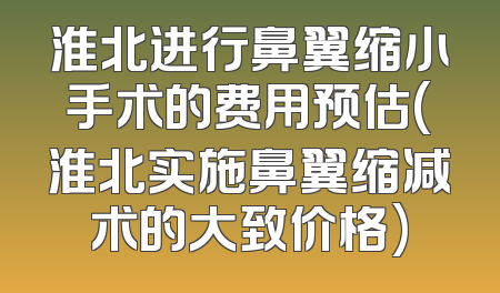 淮北进行鼻翼缩小手术的费用预估(淮北实施鼻翼缩减术的大致价格)