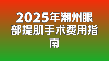 2025年潮州眼部提肌手术费用指南