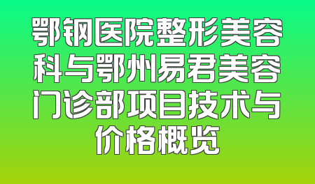 鄂钢医院整形美容科与鄂州易君美容门诊部项目技术与价格概览