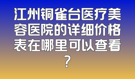 江州铜雀台医疗美容医院的详细价格表在哪里可以查看？