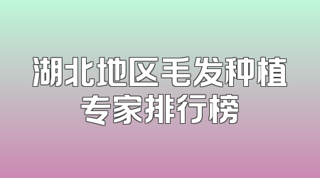 湖北地区毛发种植专家排行榜