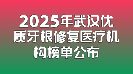 2025年武汉优质牙根修复医疗机构榜单公布