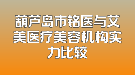 葫芦岛市铭医与艾美医疗美容机构实力比较