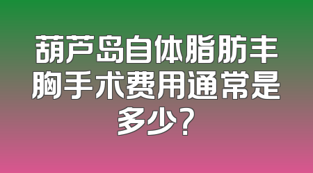 葫芦岛自体脂肪丰胸手术费用通常是多少？
