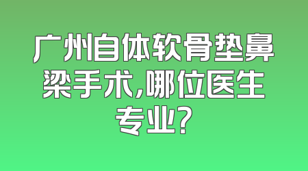广州自体软骨垫鼻梁手术，哪位医生专业？