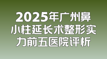 2025年广州鼻小柱延长术整形实力前五医院评析