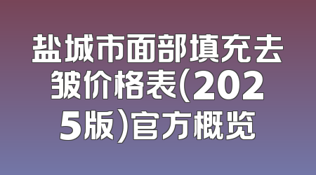 盐城市面部填充去皱价格表（2025版）官方概览