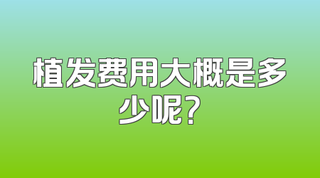 植发费用大概是多少呢？
