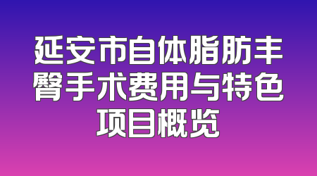延安市自体脂肪丰臀手术费用与特色项目概览