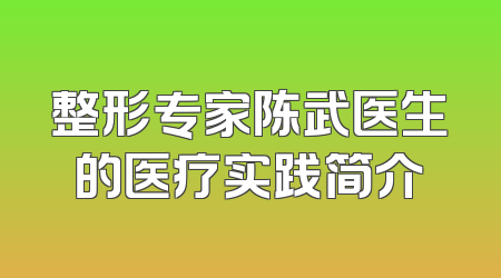 整形专家陈武医生的医疗实践简介