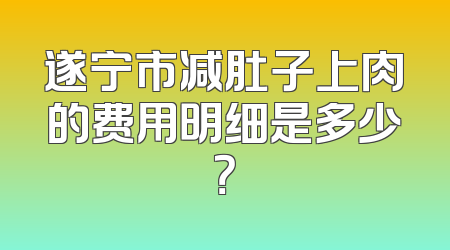 遂宁市减肚子上肉的费用明细是多少？