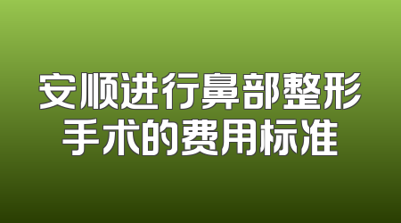 安顺进行鼻部整形手术的费用标准