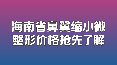 海南省鼻翼缩小微整形价格抢先了解
