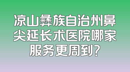 凉山彝族自治州鼻尖延长术医院哪家服务更周到？