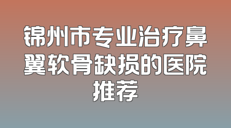 锦州市专业治疗鼻翼软骨缺损的医院推荐