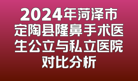 2024年菏泽市定陶县隆鼻手术医生公立与私立医院对比分析