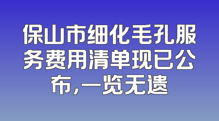 保山市细化毛孔服务费用清单现已公布，一览无遗