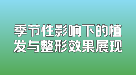 季节性影响下的植发与整形效果展现