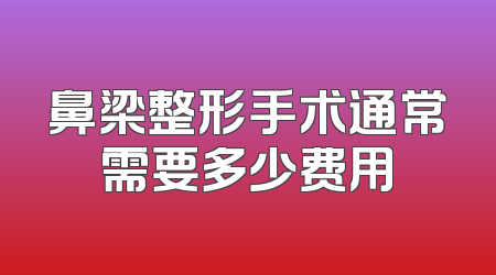 鼻梁整形手术通常需要多少费用