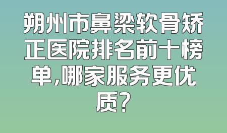 朔州市鼻梁软骨矫正医院排名前十榜单，哪家服务更优质？