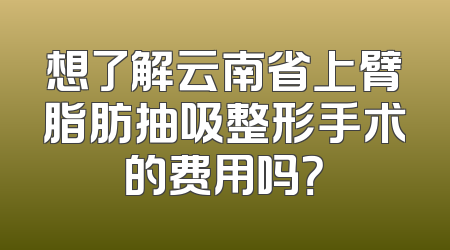 想了解云南省上臂脂肪抽吸整形手术的费用吗？