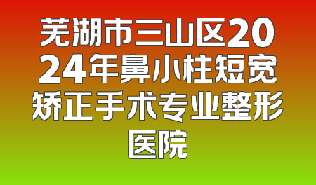 芜湖市三山区2024年鼻小柱短宽矫正手术专业整形医院