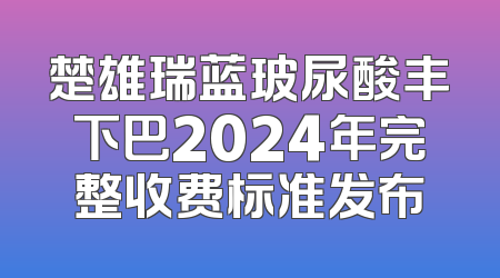 楚雄瑞蓝玻尿酸丰下巴2024年完整收费标准发布