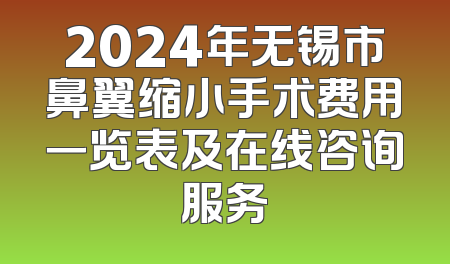 2024年无锡市鼻翼缩小手术费用一览表及在线咨询服务