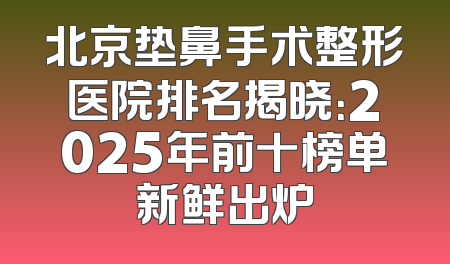 北京垫鼻手术整形医院排名揭晓：2025年前十榜单新鲜出炉